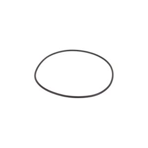 BANJO 2 inch POLY PUMP BODY O-RING