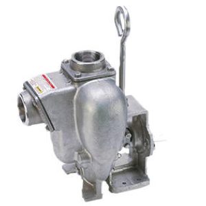 BANJO 2 inch 316 SS PUMP WITH BEARING PEDESTAL