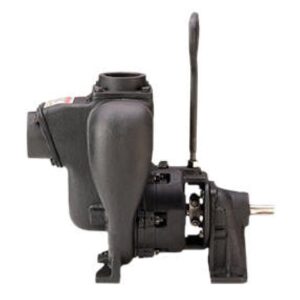 BANJO 2 inch WET SEAL CI PUMP WITH BEARING PEDESTAL