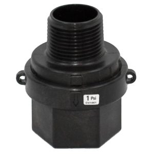 BANJO 1 inch MPT X 1 inch FPT POLY CHECK VALVE