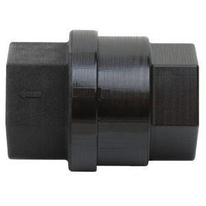 BANJO 3 inch FPT X 3 inch FPT POLY CHECK VALVE