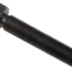 LARGE PUNCH SCREW