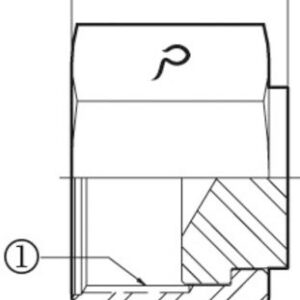 FOFX - FEMALE OFS SWIVEL CAP - STEEL
