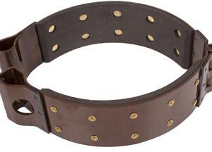 BRAKE BAND A-C:B,1B,C,CA