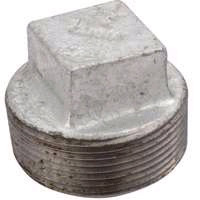 2" GALVANIZED PIPE PLUG