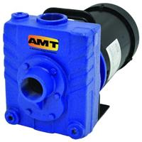 AMT PUMP 1 HP 1-1/2' PORTS-BUNA