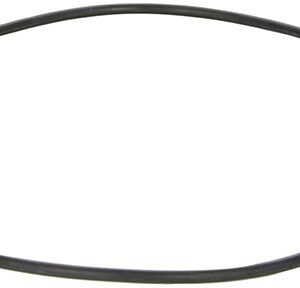 BANJO PUMP BODY O RING EPDM (NEW STYLE)
