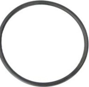 ACE PUMP BODY O-RING