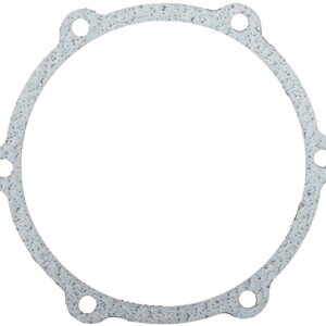 GASKET FOR BANJO PUMP