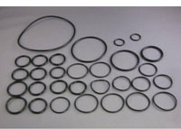 ORING KIT