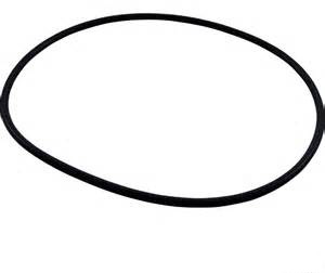 BAC4A-ACE O'RING FOR PUMP BODY