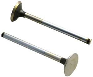 EXHAUST VALVE