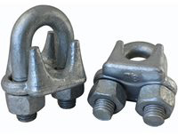 7/8'' DROP FORGED WIRE ROPE CLIP