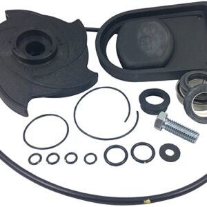 BANJO PUMP REPAIR KIT BUNA(NEW STYLE PUM