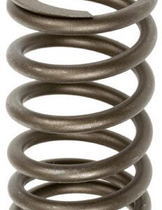 VALVE SPRING