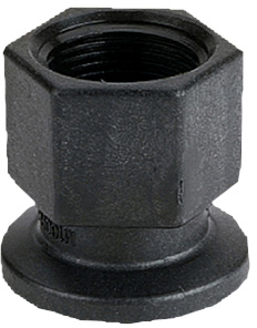 2'' FP FLANGE X 2'' FEMALE NPT ADAPTER